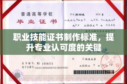 桑日职业技能证书制作标准，提升专业认可度的关键