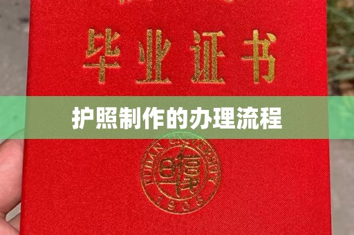 桑日护照制作的办理流程
