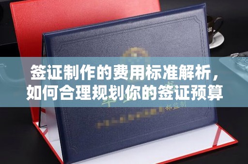 桑日签证制作的费用标准解析，如何合理规划你的签证预算