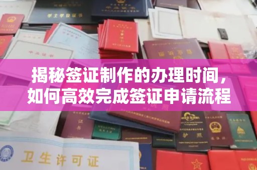 桑日揭秘签证制作的办理时间，如何高效完成签证申请流程