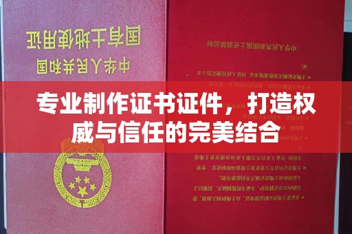 桑日专业制作证书证件，打造权威与信任的完美结合