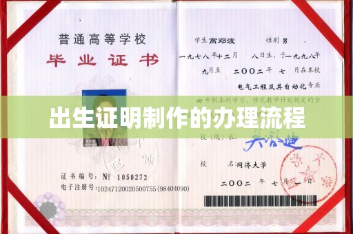 桑日出生证明制作的办理流程