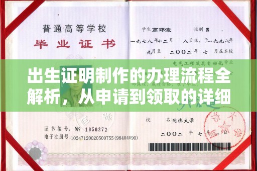 桑日出生证明制作的办理流程全解析，从申请到领取的详细指南