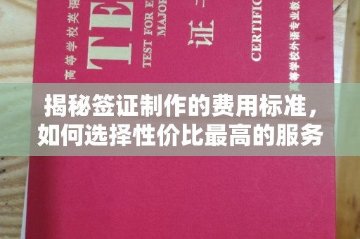 桑日揭秘签证制作的费用标准，如何选择性价比最高的服务？