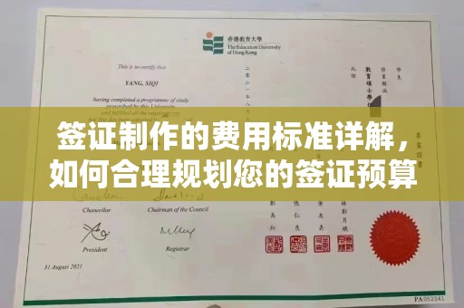 桑日签证制作的费用标准详解，如何合理规划您的签证预算