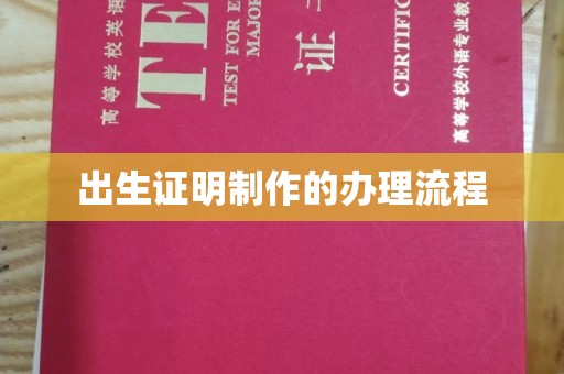 桑日出生证明制作的办理流程