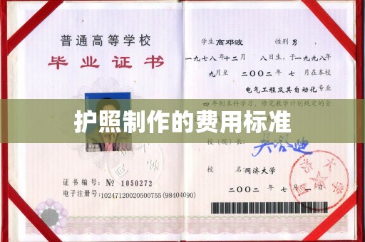 桑日护照制作的费用标准