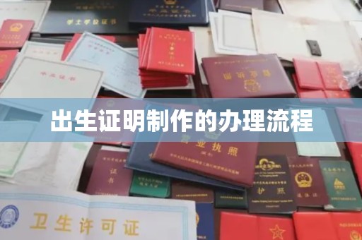 桑日出生证明制作的办理流程