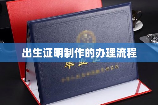 桑日出生证明制作的办理流程