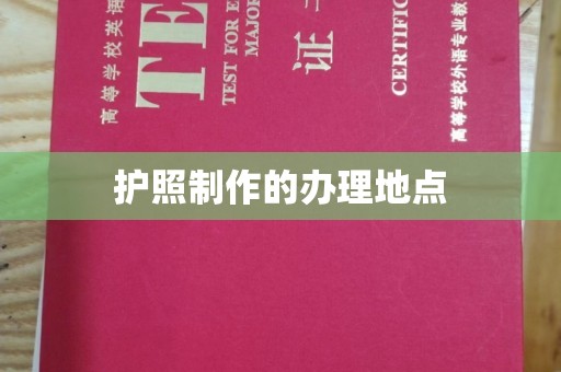 桑日护照制作的办理地点
