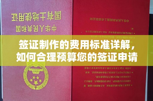 桑日签证制作的费用标准详解，如何合理预算您的签证申请成本