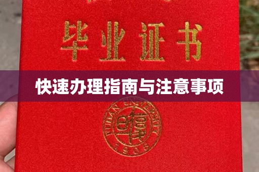 桑日快速办理指南与注意事项